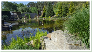 Teich 2016-003 , Gartenteich mit Terrasse