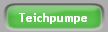 Teichpumpe